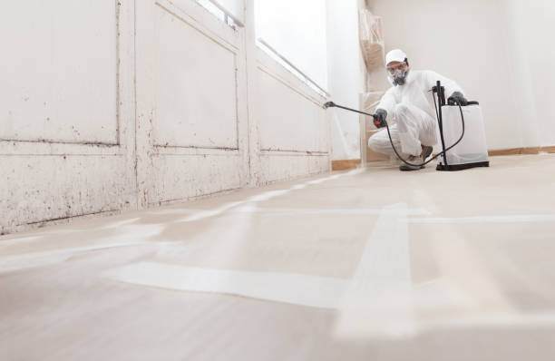 24/7 Emergency Attic Mold Remediation experts in Prospect Heights, IL